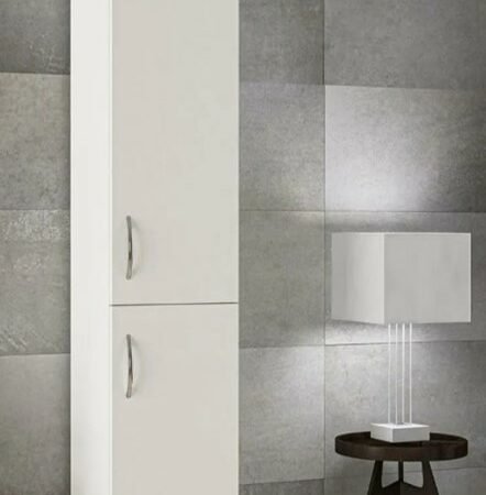 Armoire à usages multiples – 2 portes