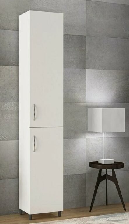 Armoire à usages multiples – 2 portes