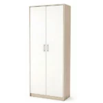 Armoire de rangement avec 2 portes