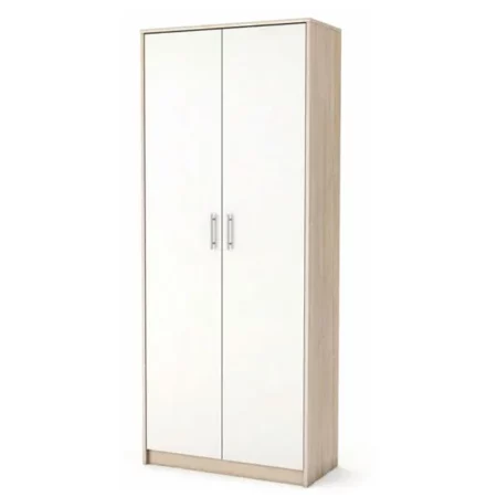 Armoire de rangement avec 2 portes